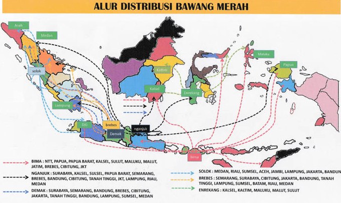 Ditjen Hortikultura Kembangkan 32 Zonasi Bawang Merah di Seluruh Indonesia